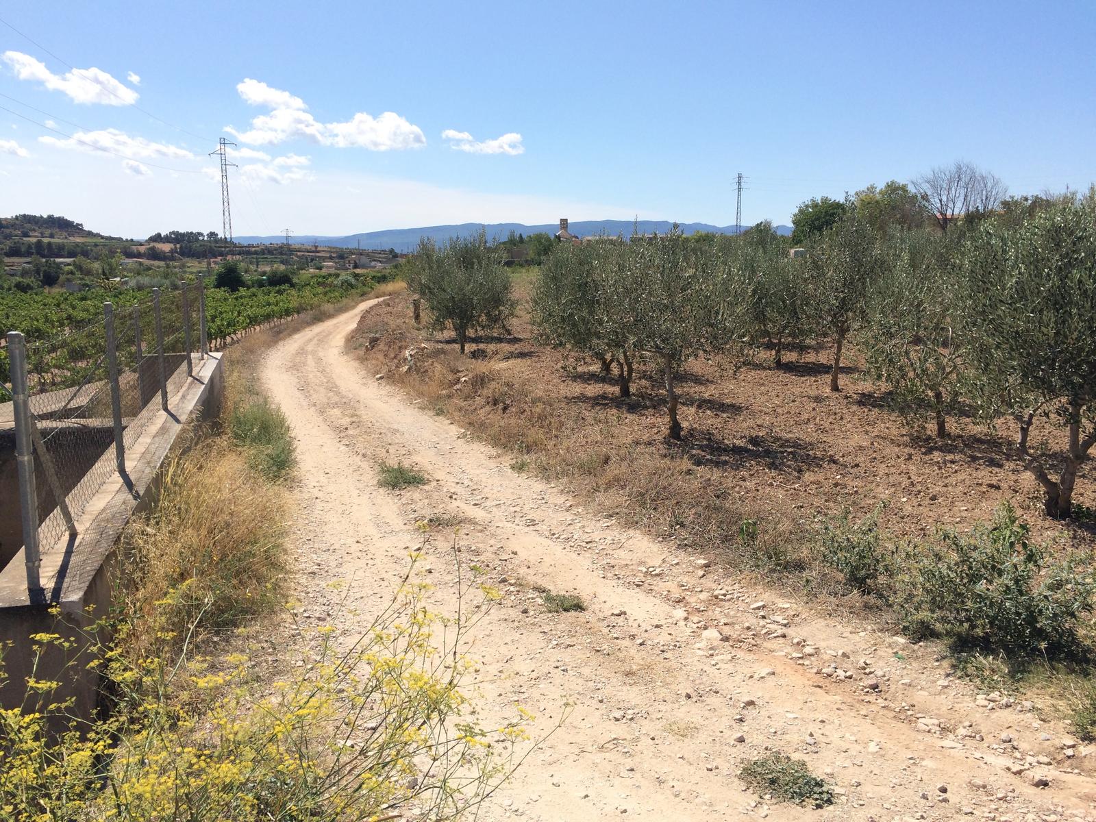 Rutes a peu i en BTT per Sarral