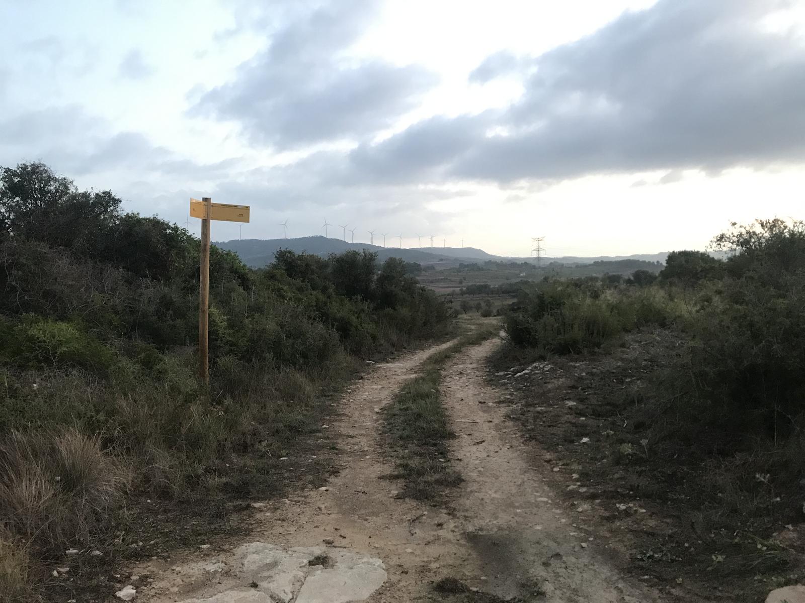 Rutes a peu i en BTT per Sarral