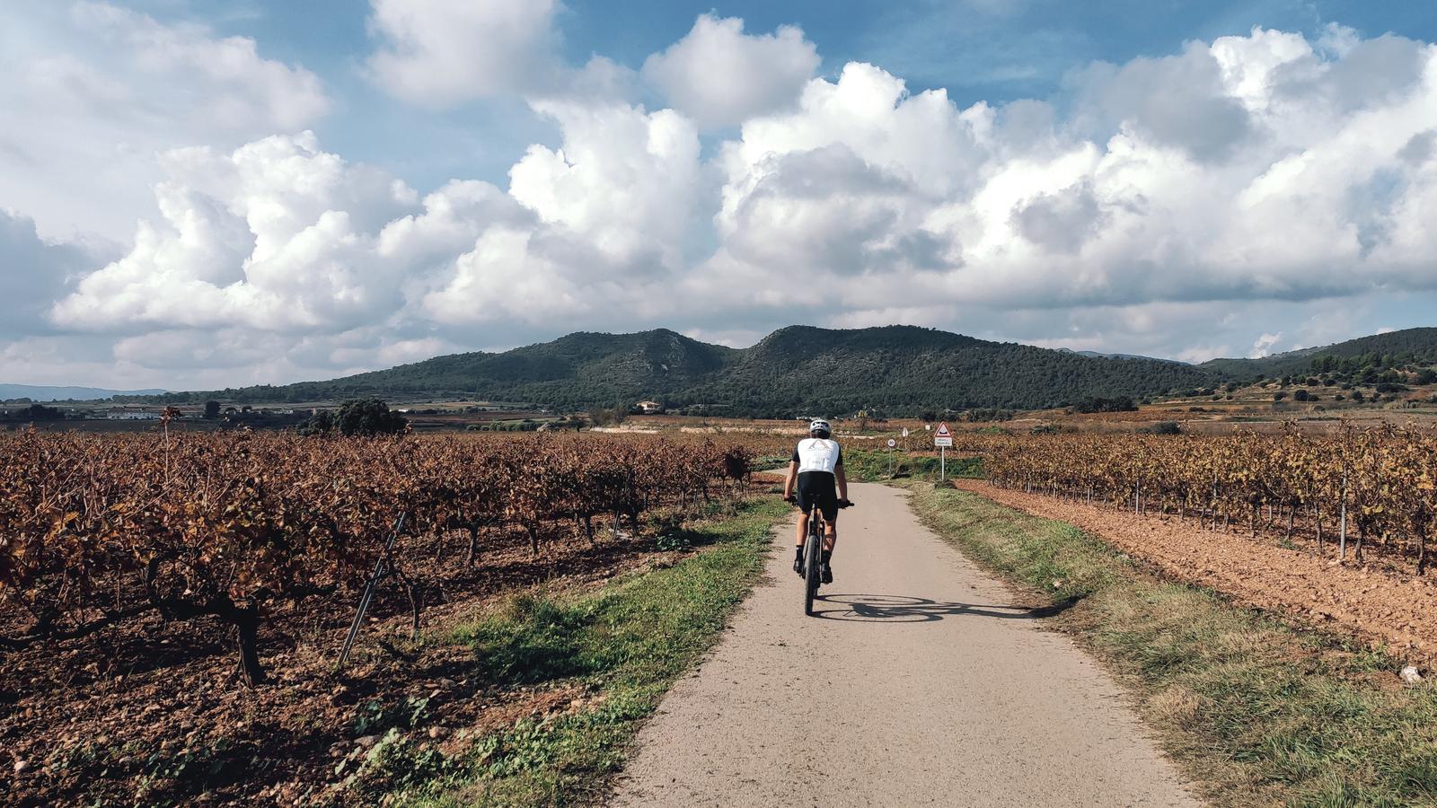 Rutes de Senderisme a Sant Jaume dels Domenys