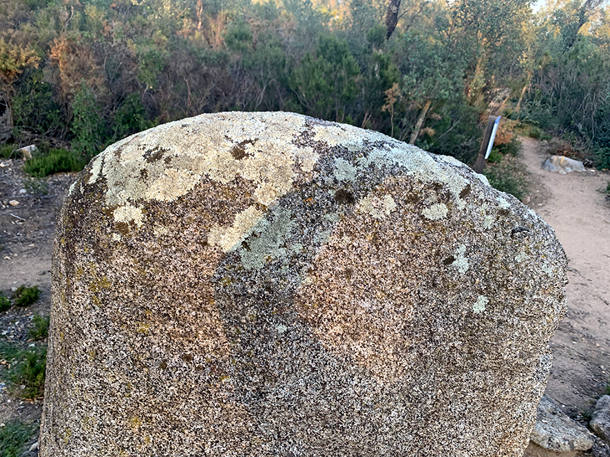 7. Menhir dels Estanys I de la Jonquera ***