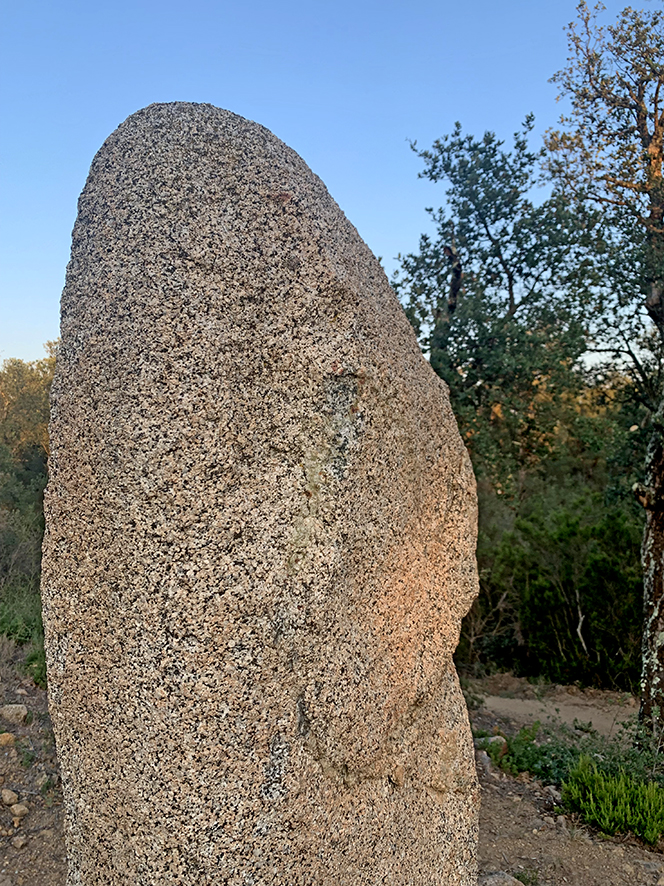 8. Menhir dels Estanys II de la Jonquera ***