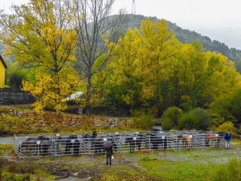 Fira Mil·lenària de Tots Sants de Vilaller