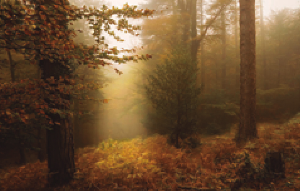 Itineraris del Paratge Natural de l'Albera a La Jonquera