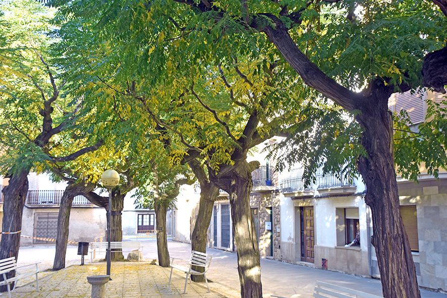 Nucli històric de Torregrossa