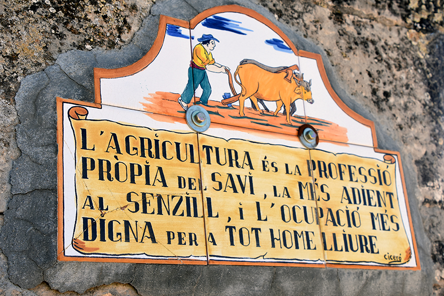 Premsa d'oli i abeurador de Llardecans