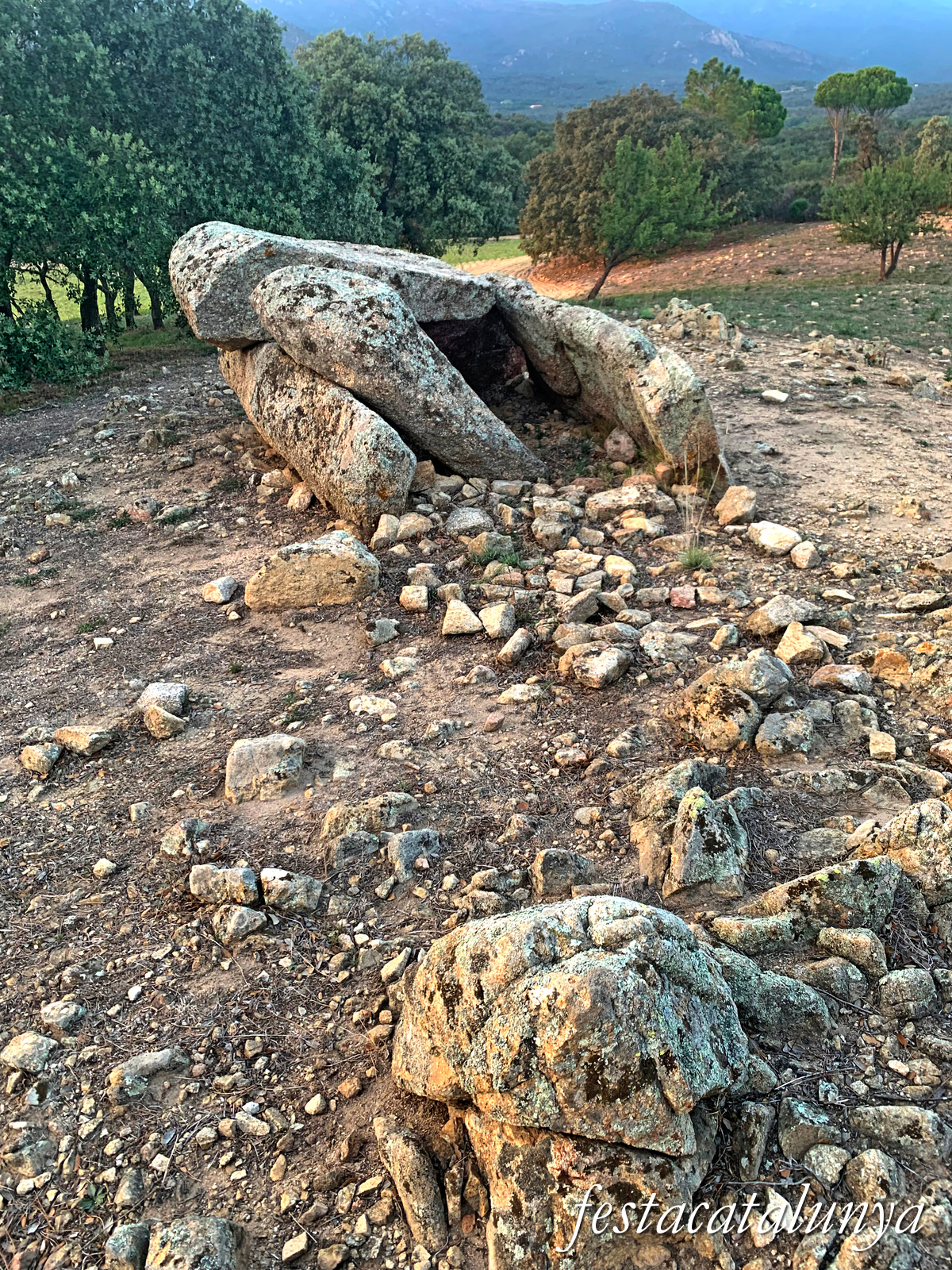La Jonquera - Dolmen de mas Baleta I