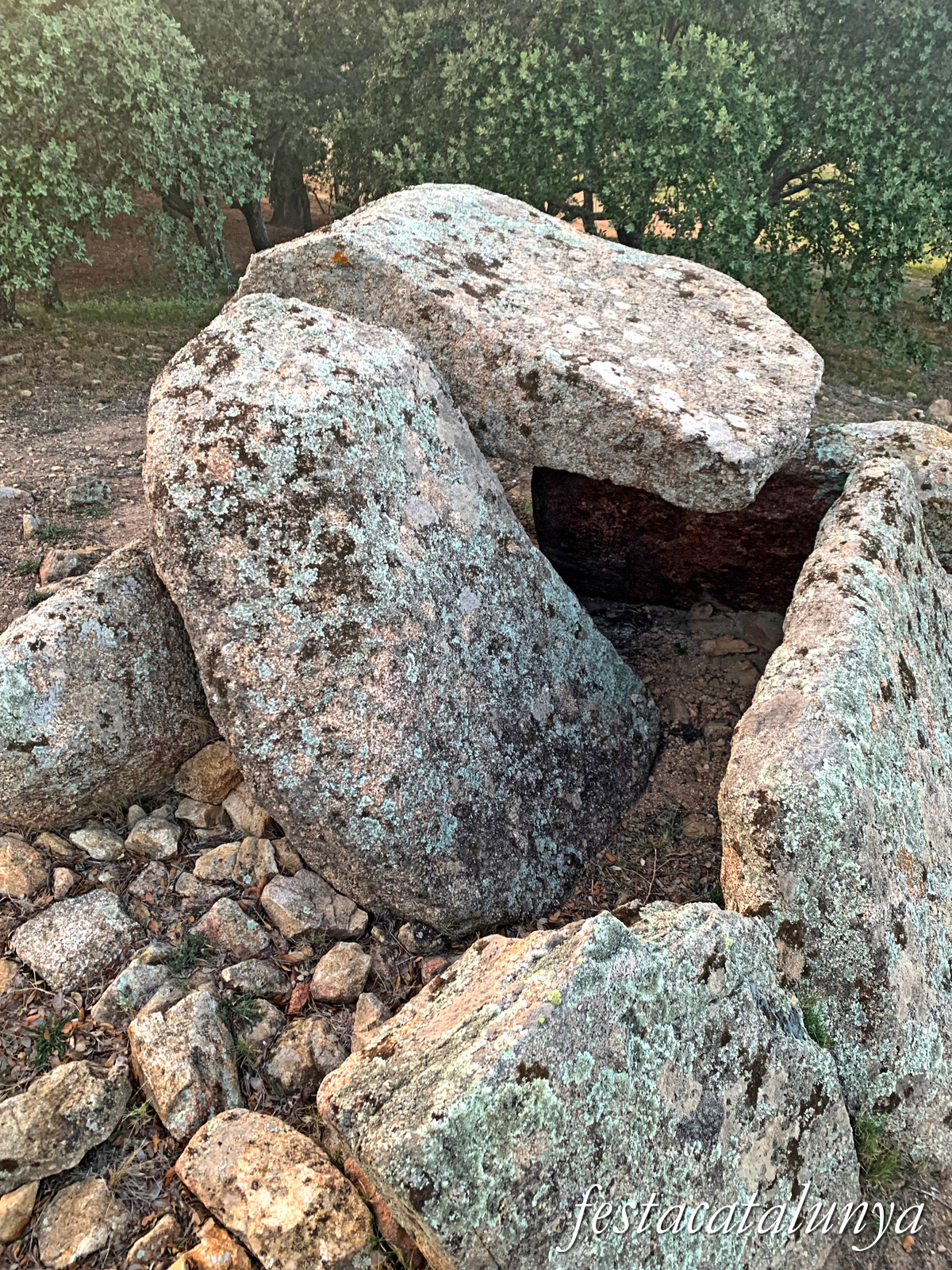 La Jonquera - Dolmen de mas Baleta I