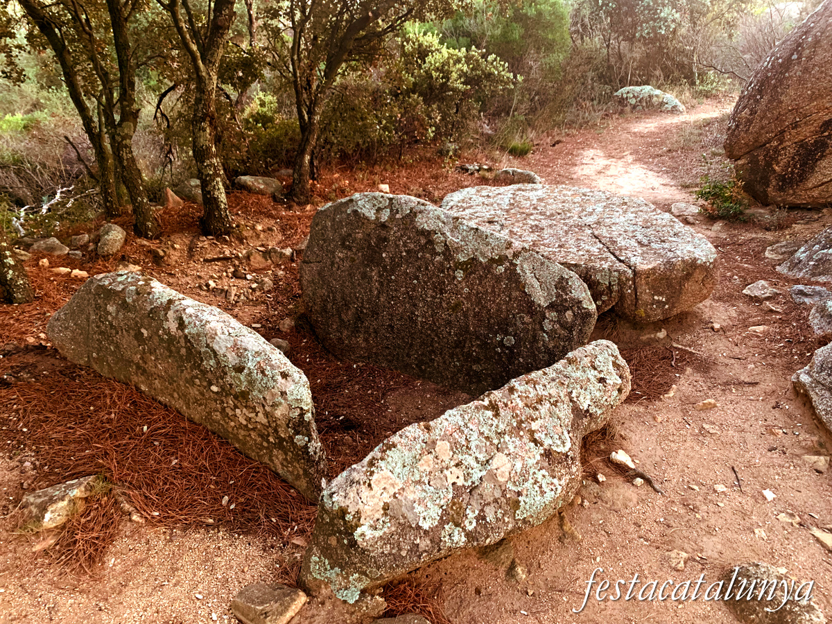 La Jonquera - Dolmen de mas Baleta II 