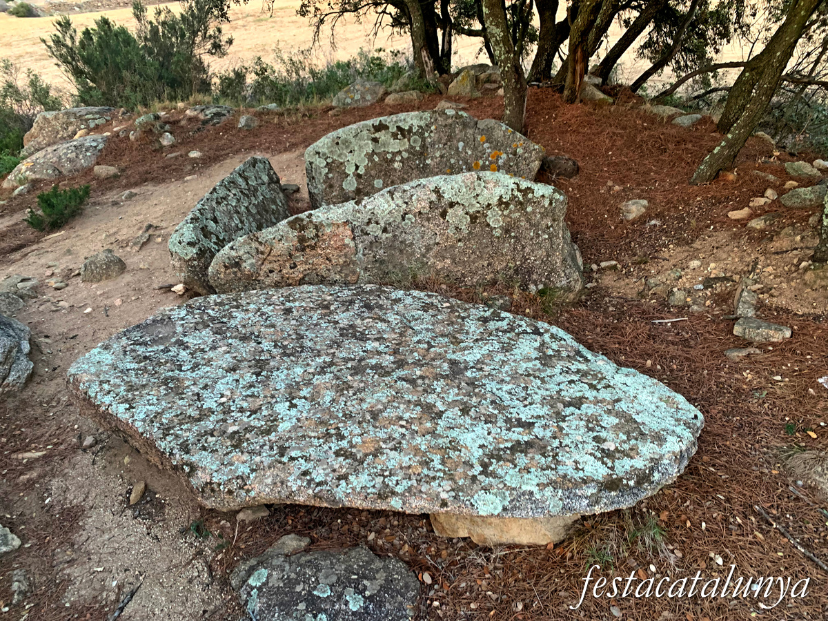 La Jonquera - Dolmen de mas Baleta II 