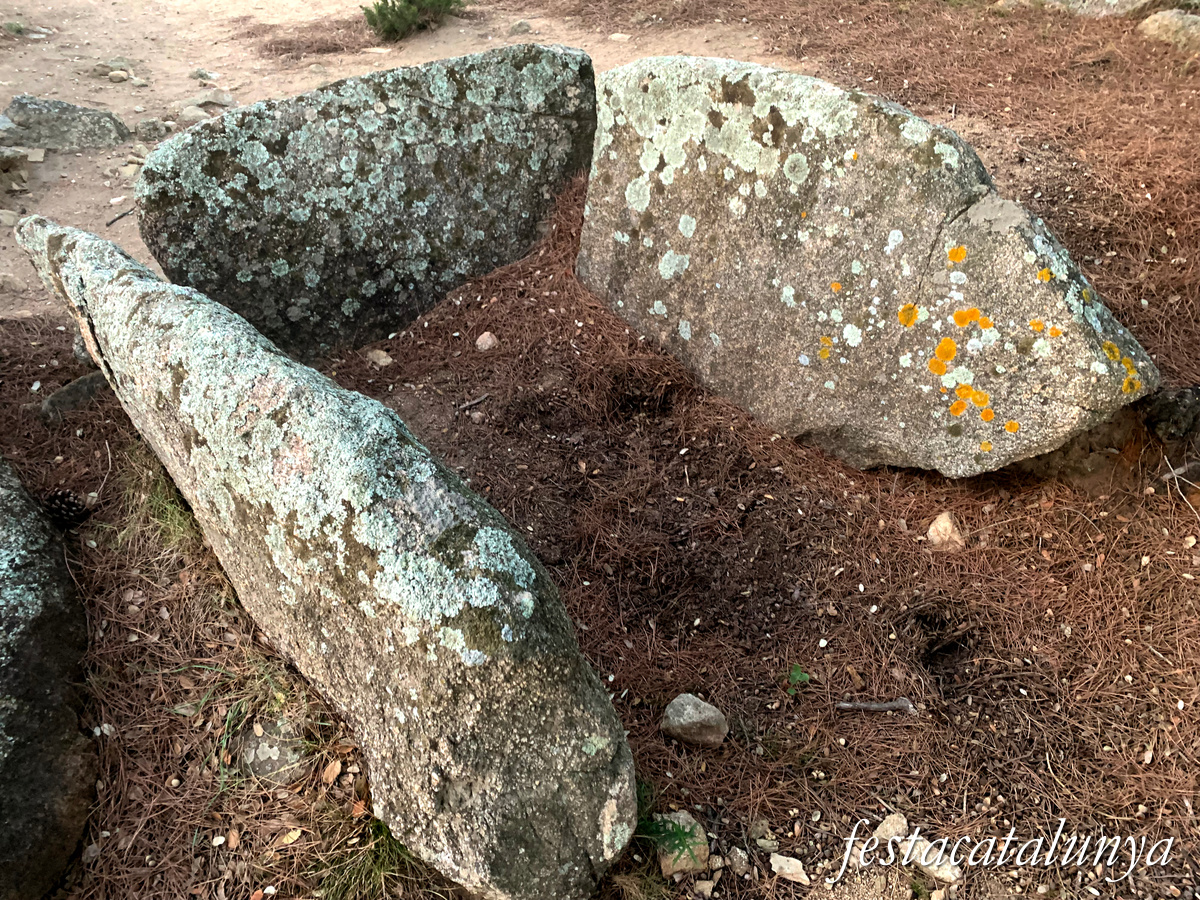 La Jonquera - Dolmen de mas Baleta II