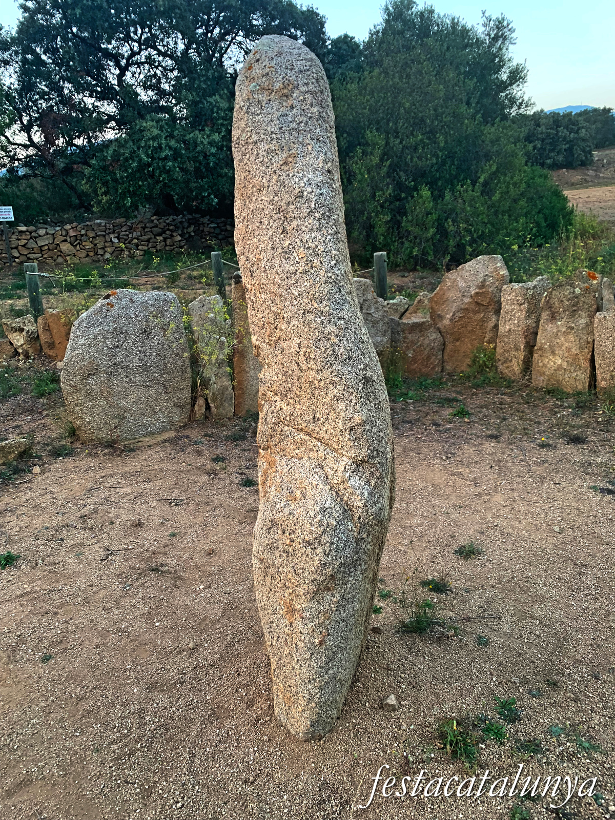 La Jonquera - Conjunt megalític del mas Baleta