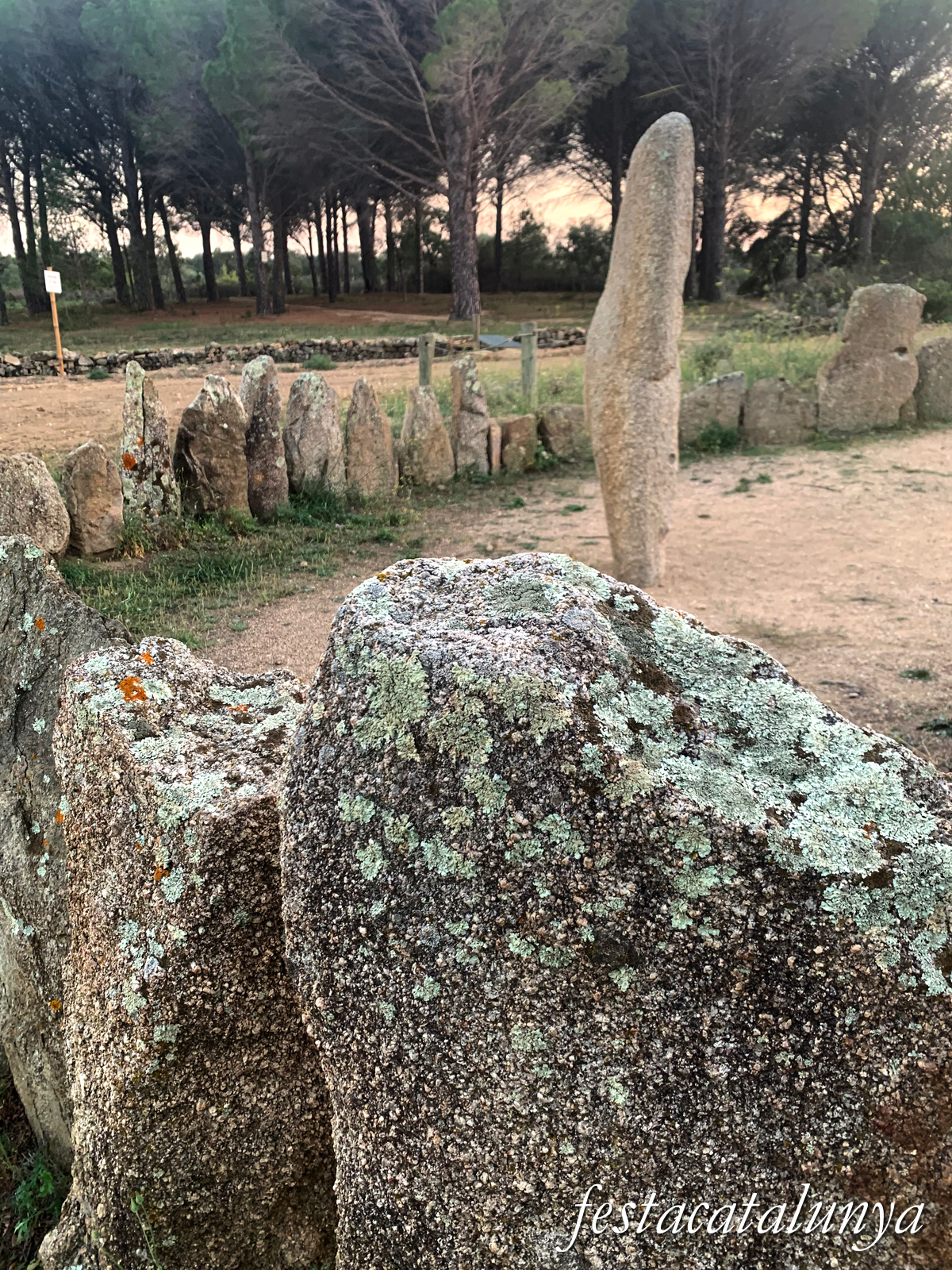 La Jonquera - Conjunt megalític del mas Baleta