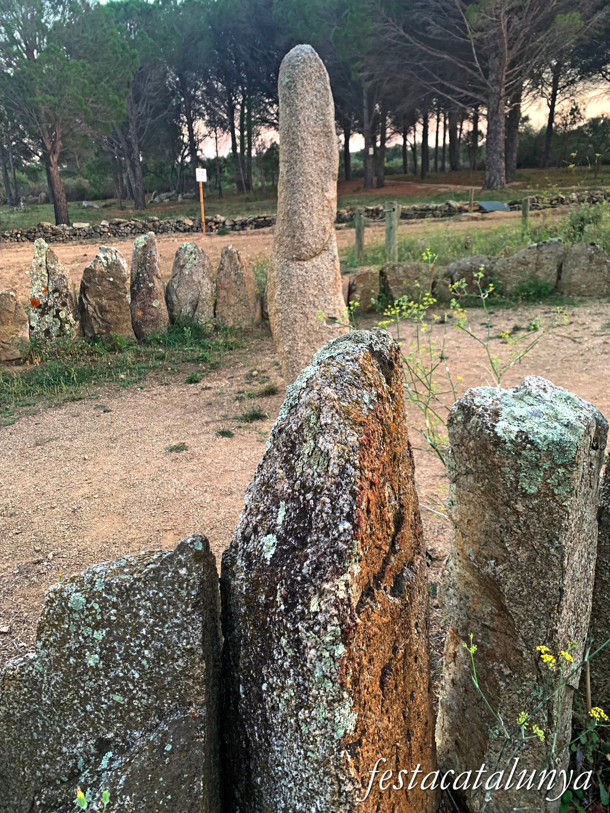 La Jonquera - Conjunt megalític del mas Baleta