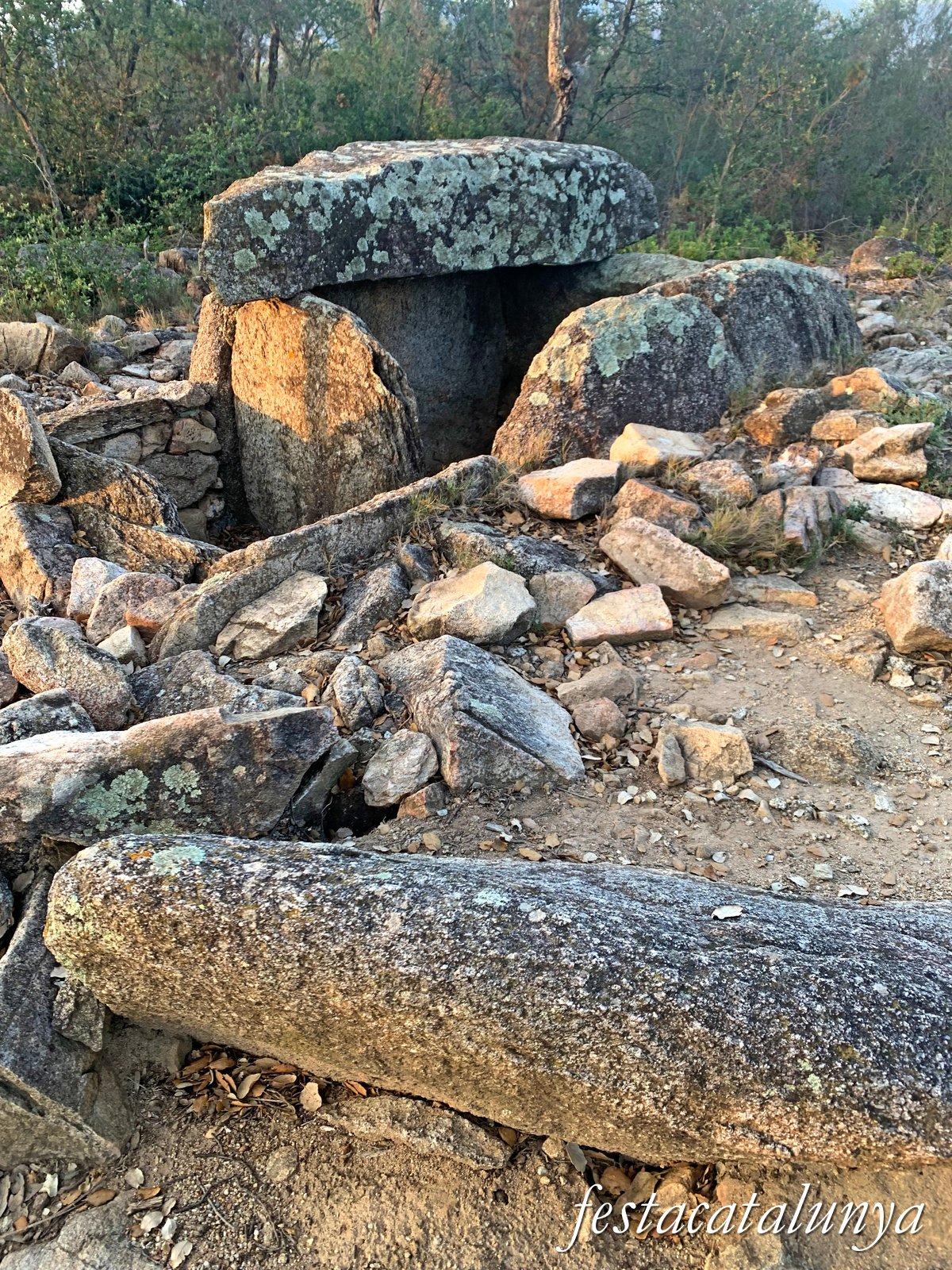 La Jonquera - Dolmen dels Estanys I 