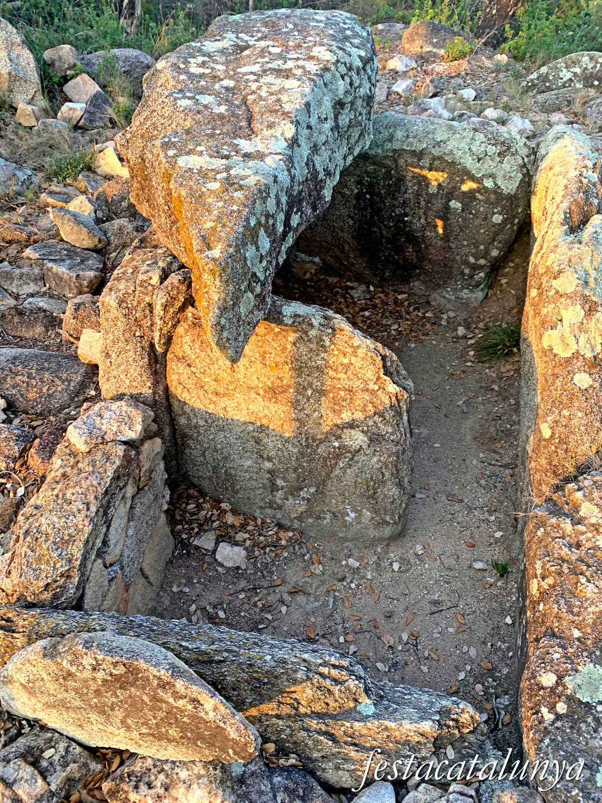 La Jonquera - Dolmen dels Estanys I 