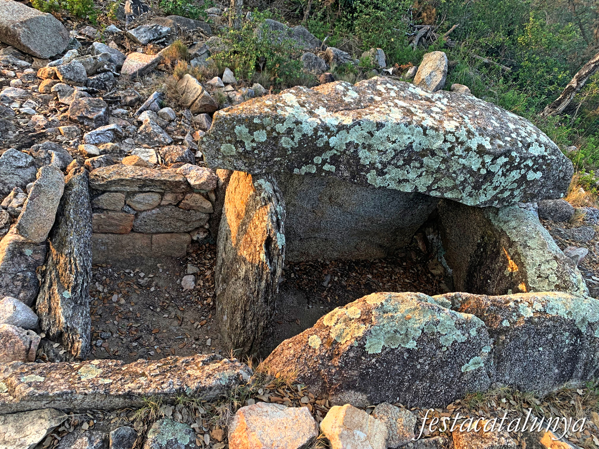 La Jonquera - Dolmen dels Estanys I 