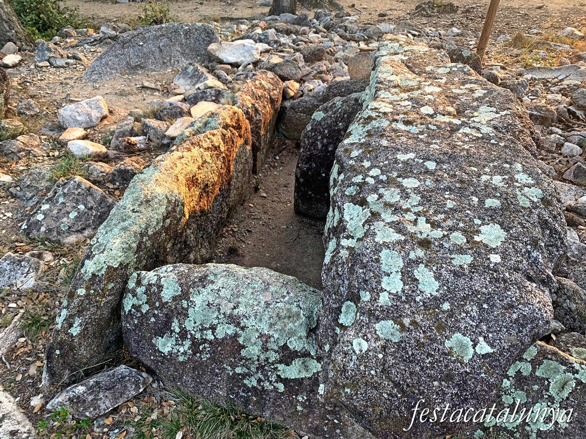 La Jonquera - Dolmen dels Estanys I