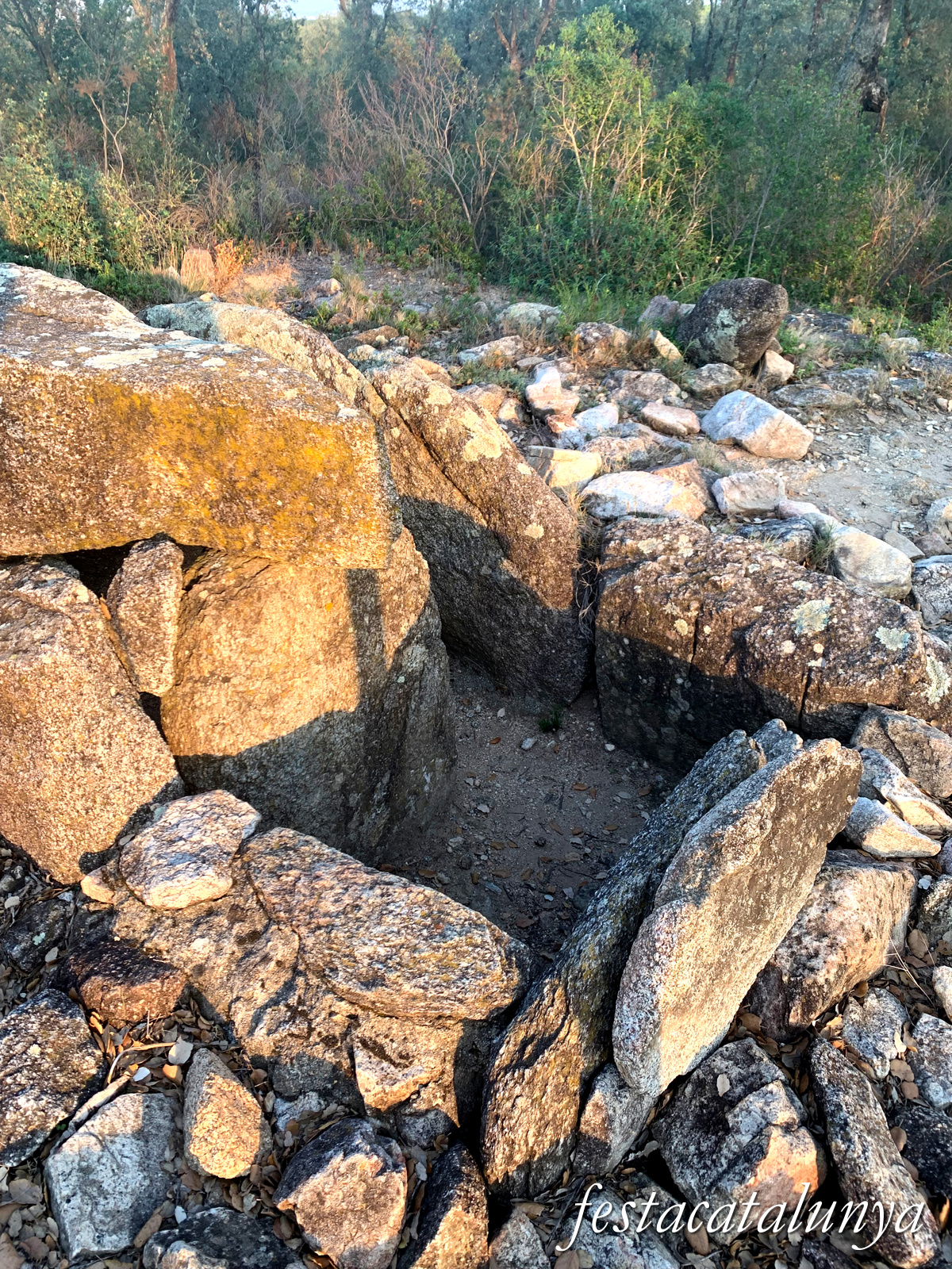 La Jonquera - Dolmen dels Estanys I 