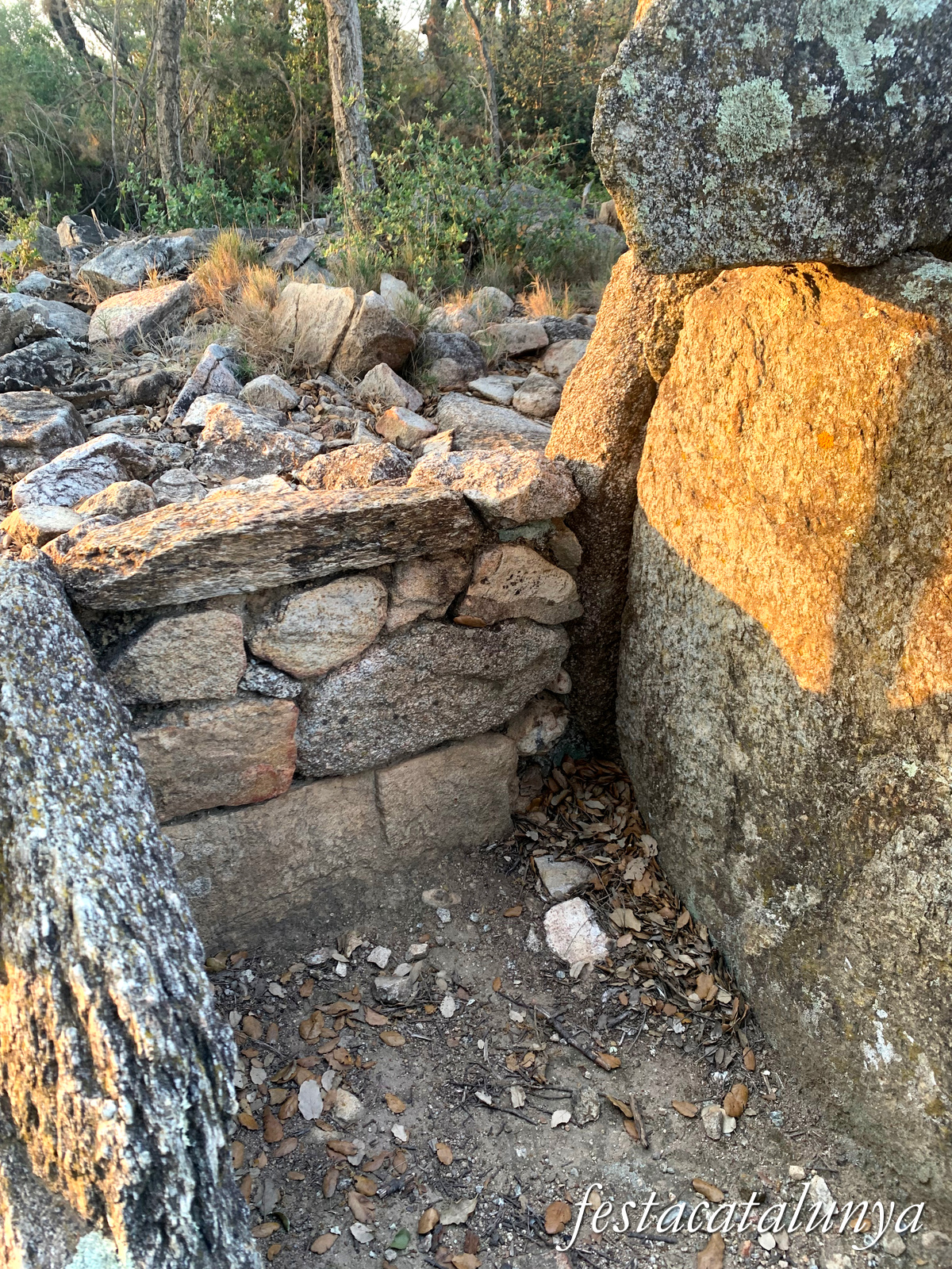 La Jonquera - Dolmen dels Estanys I 