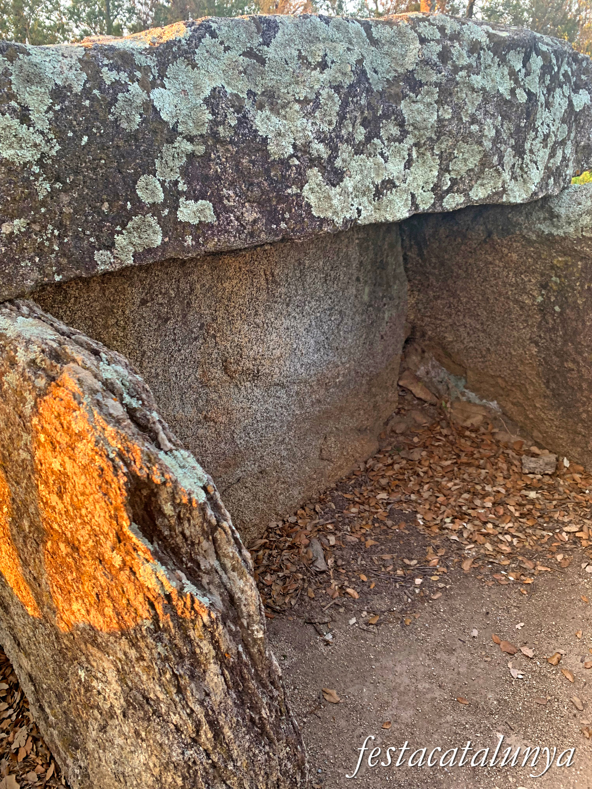 La Jonquera - Dolmen dels Estanys I