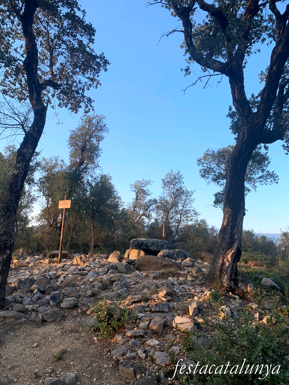 La Jonquera - Dolmen dels Estanys I 