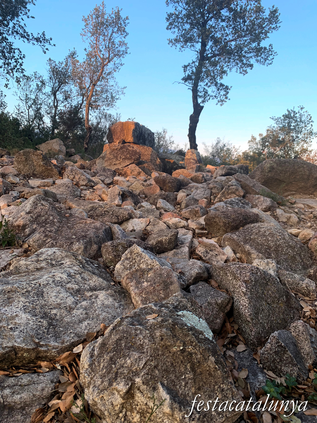 La Jonquera - Dolmen dels Estanys I 