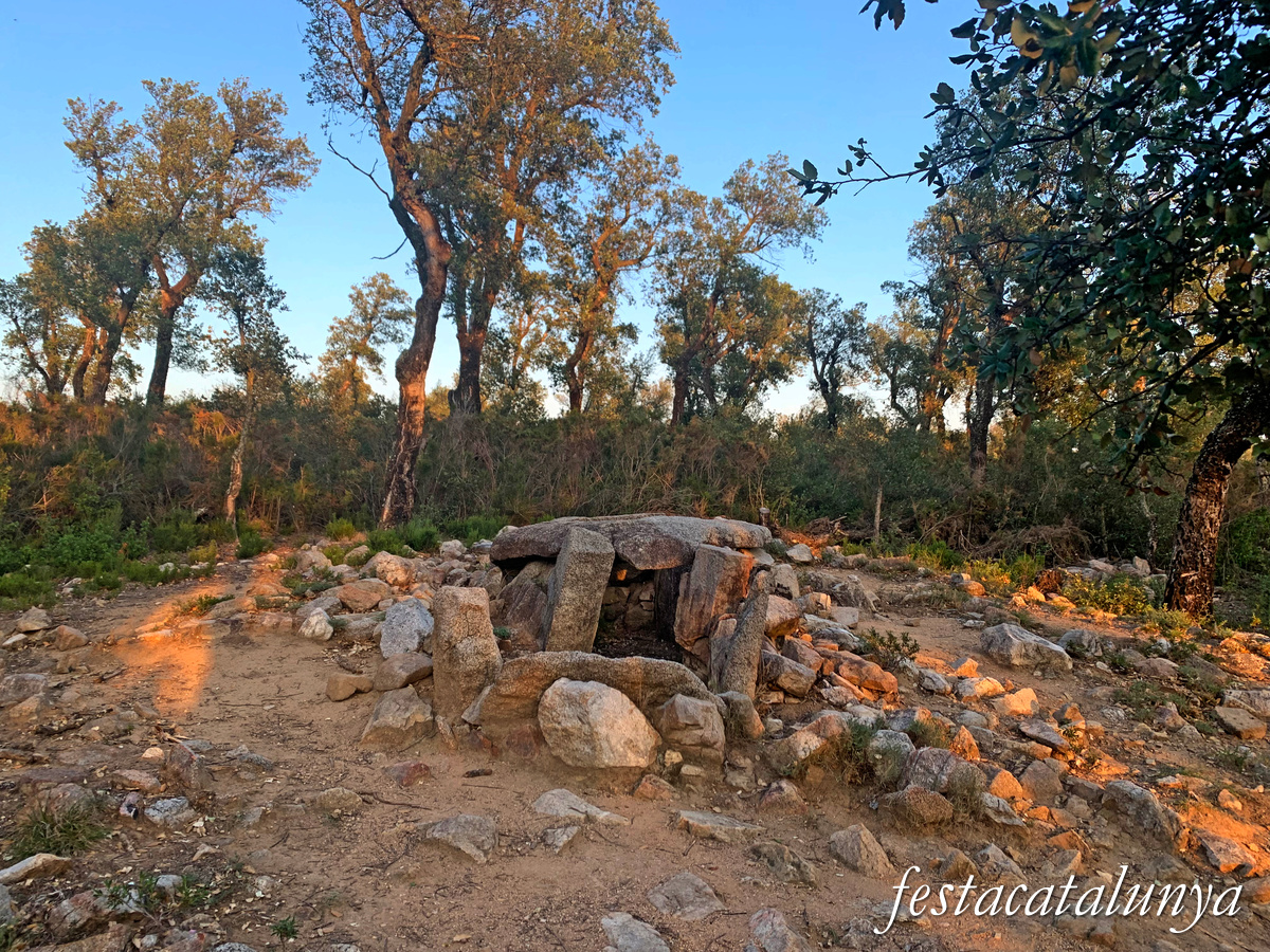 La Jonquera - Dolmen dels Estanys II
