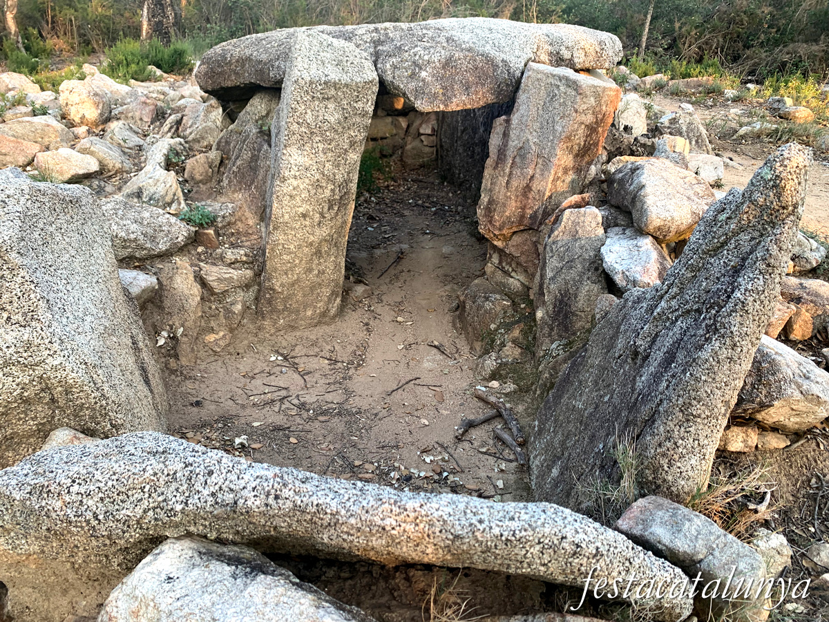 La Jonquera - Dolmen dels Estanys II 