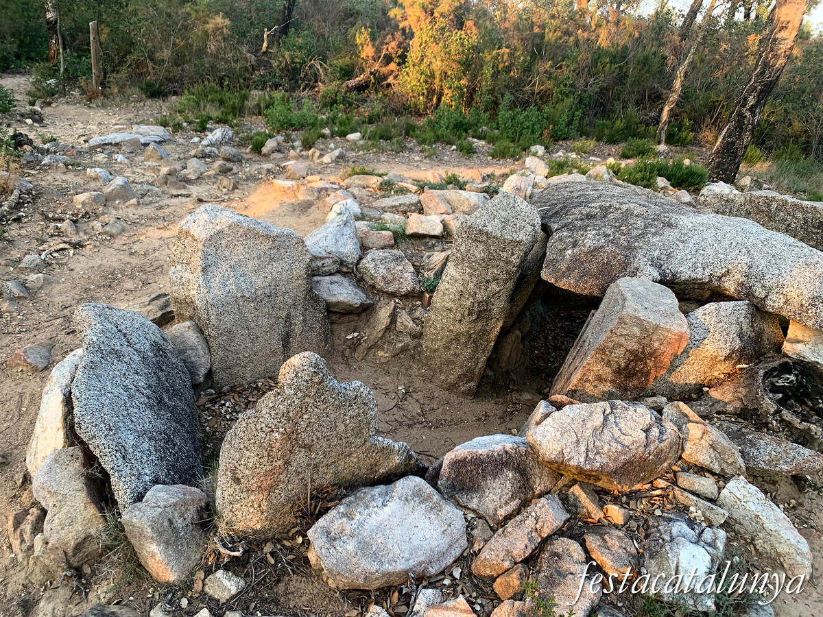 La Jonquera - Dolmen dels Estanys II