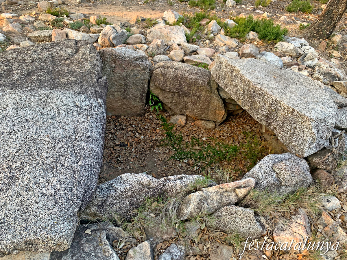 La Jonquera - Dolmen dels Estanys II