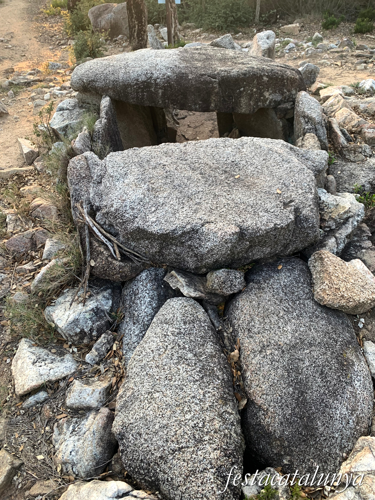 La Jonquera - Dolmen dels Estanys II 