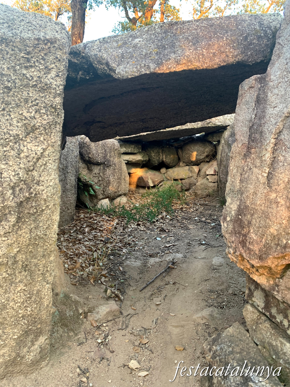 La Jonquera - Dolmen dels Estanys II