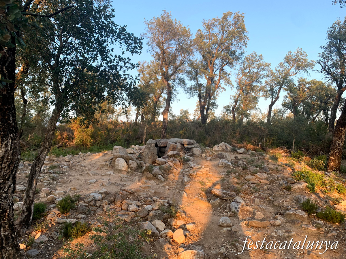 La Jonquera - Dolmen dels Estanys II