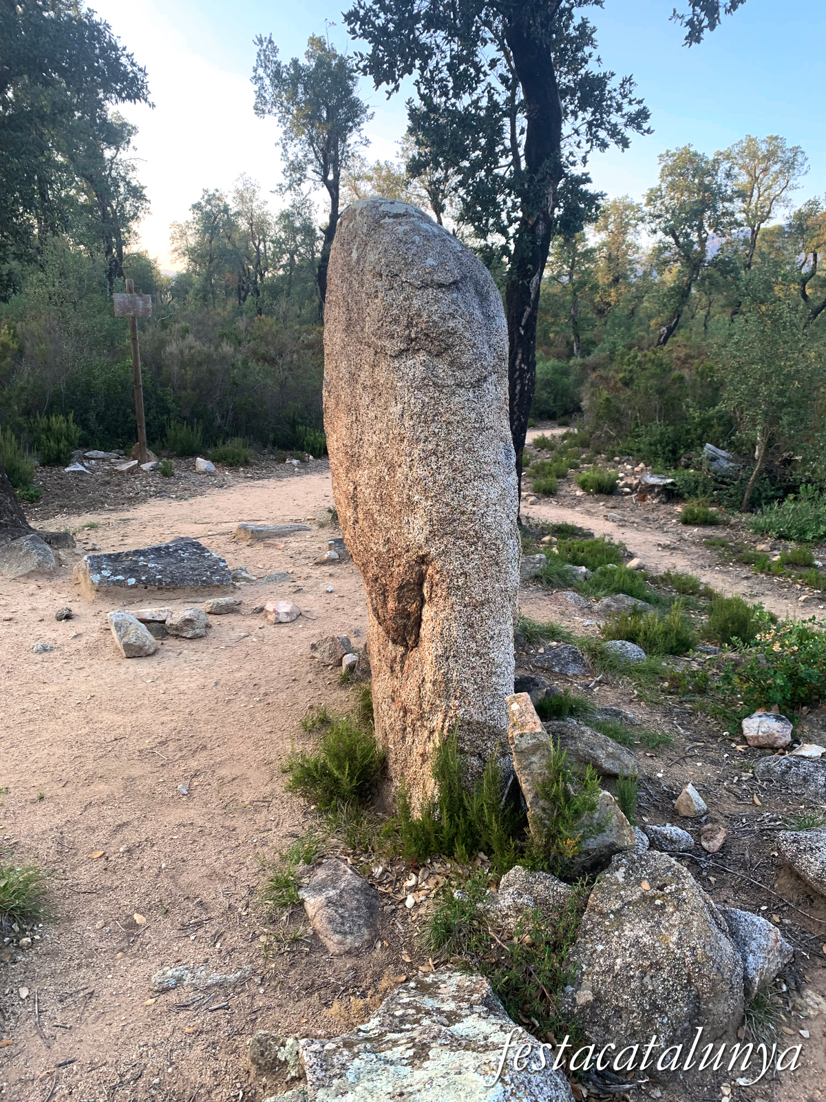 La Jonquera - Menhir dels Estanys I 