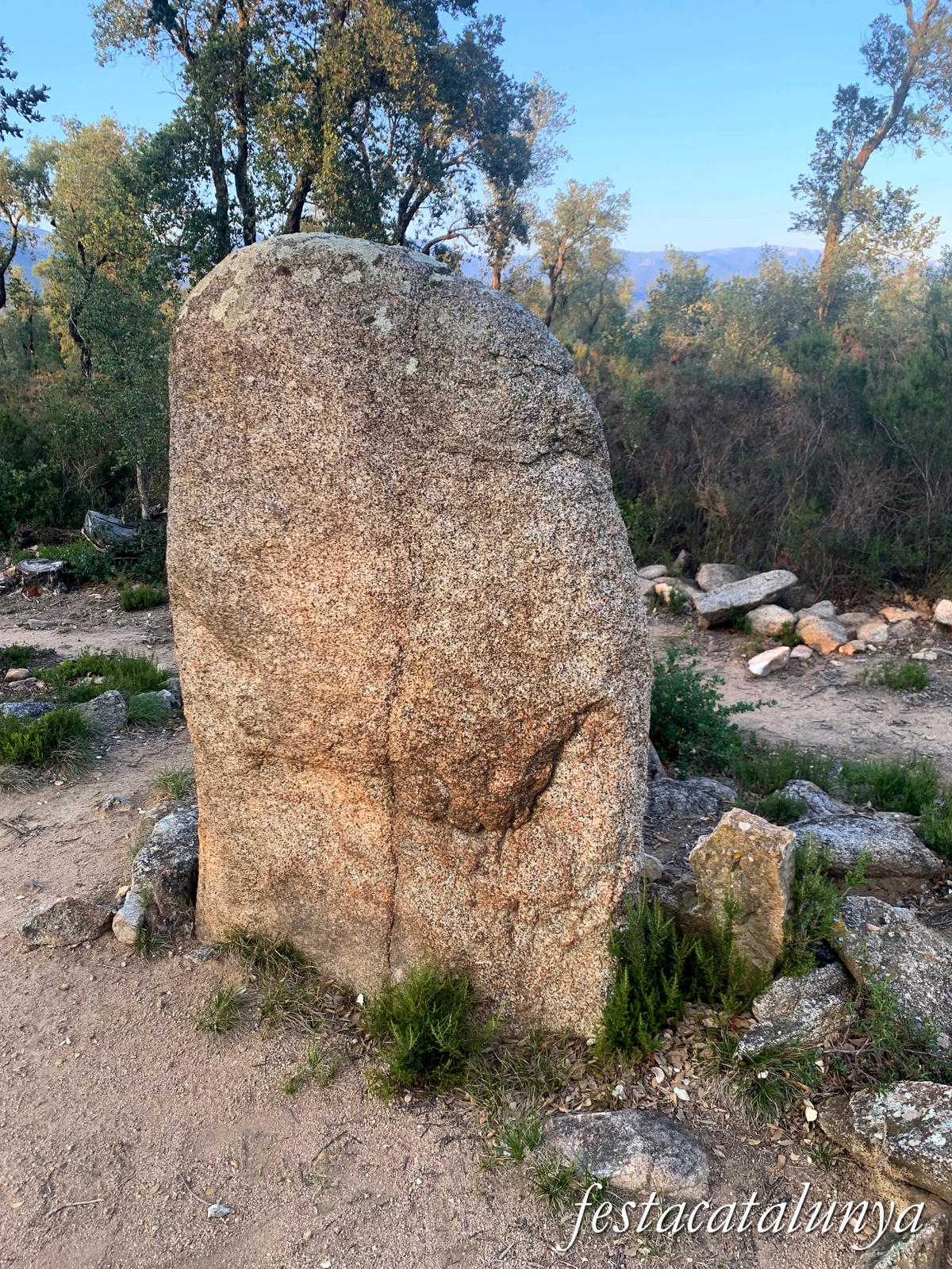 La Jonquera - Menhir dels Estanys I 