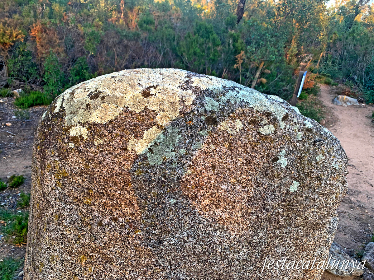 La Jonquera - Menhir dels Estanys I 