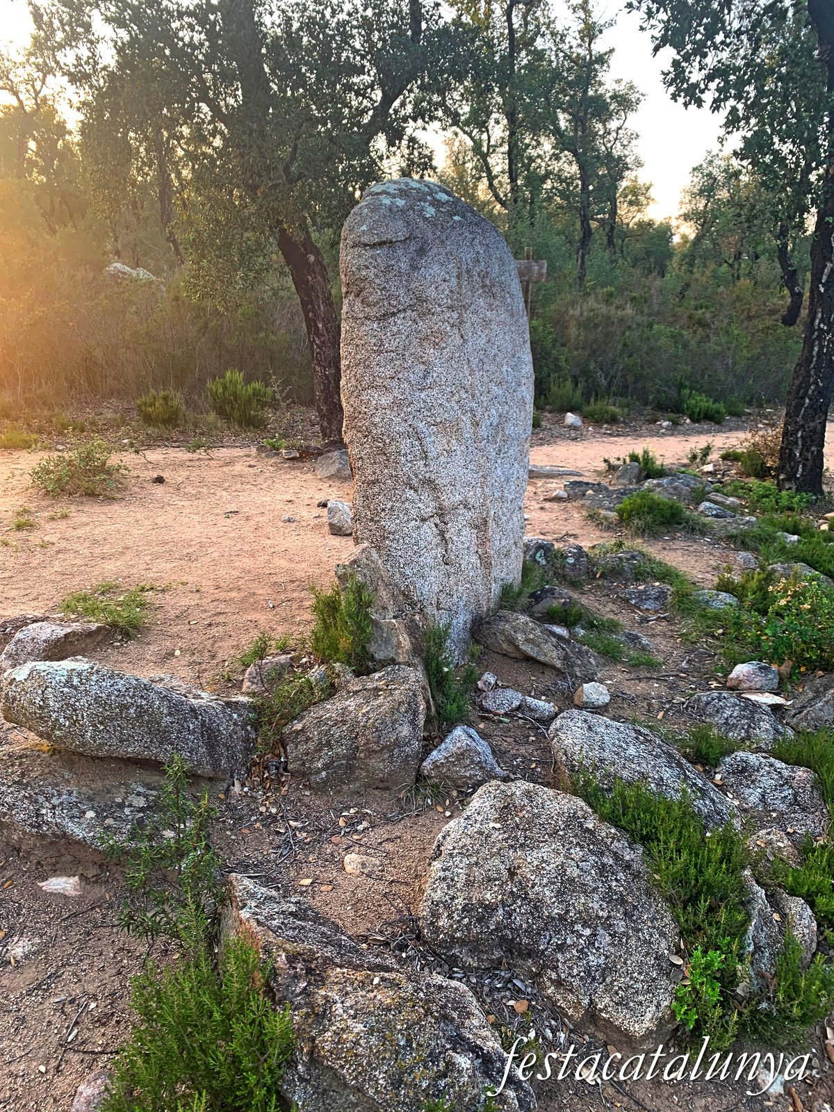 La Jonquera - Menhir dels Estanys I 