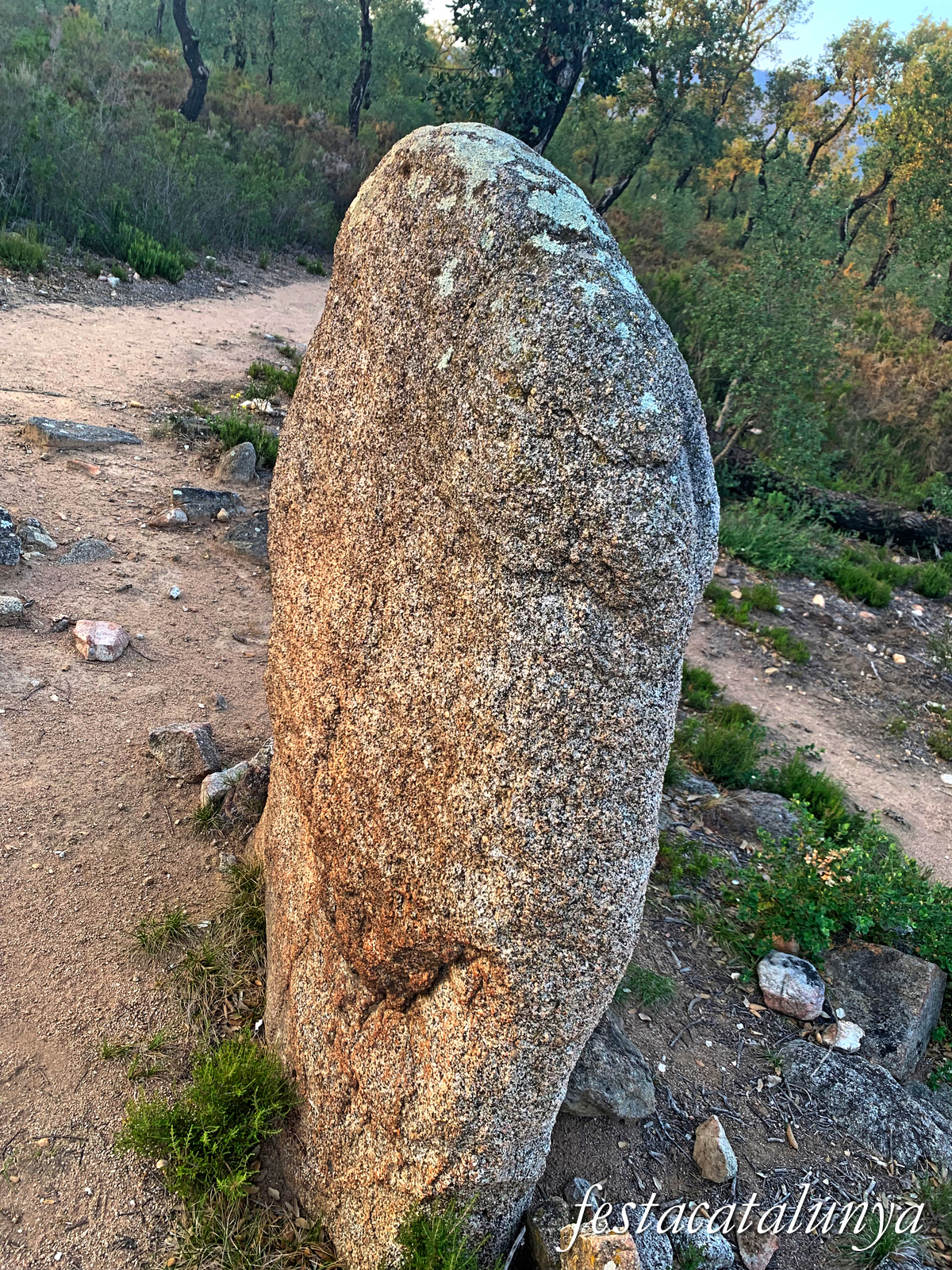La Jonquera - Menhir dels Estanys I 