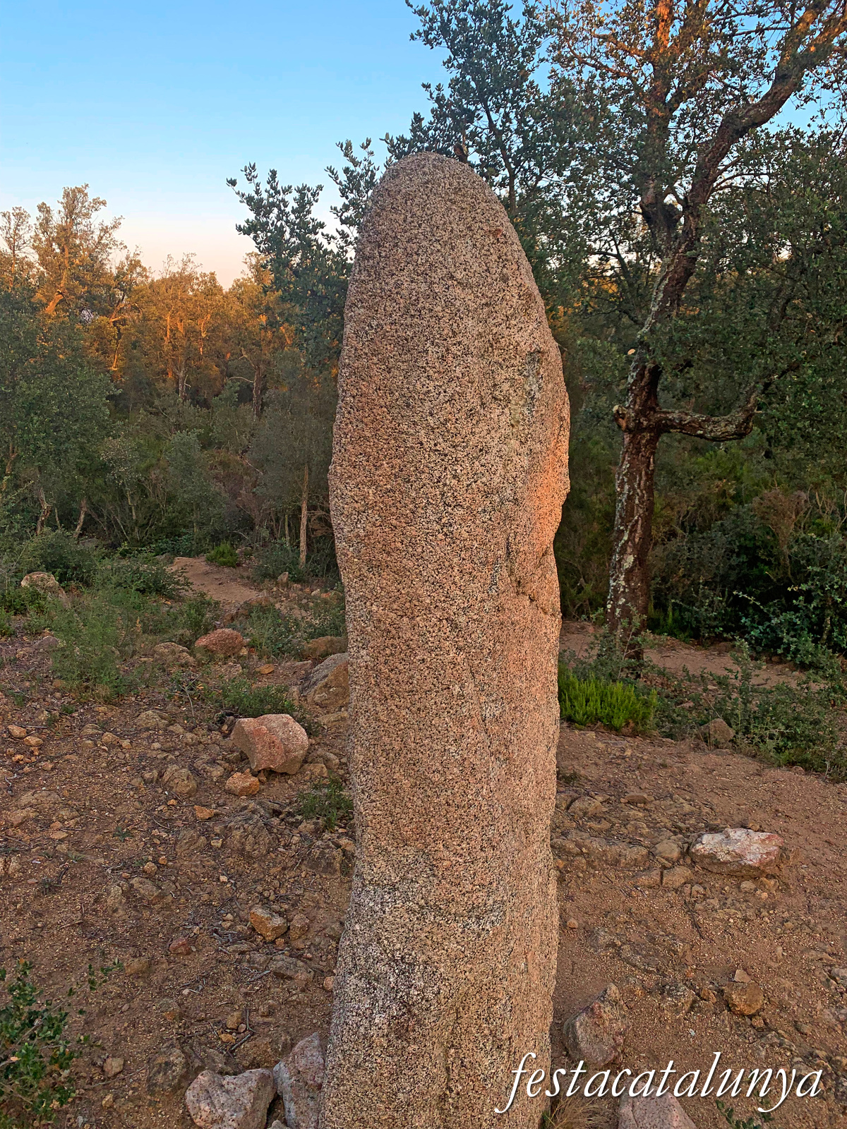 La Jonquera - Menhir dels Estanys II 