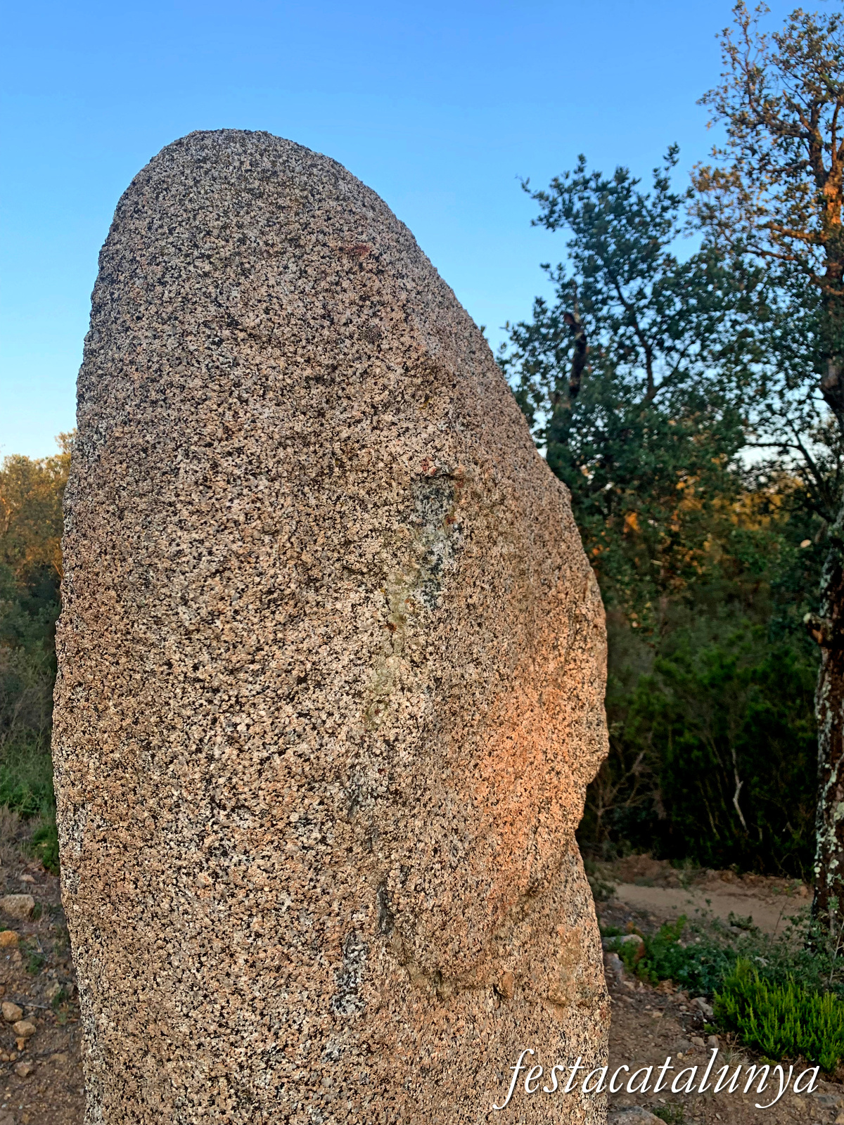 La Jonquera - Menhir dels Estanys II 