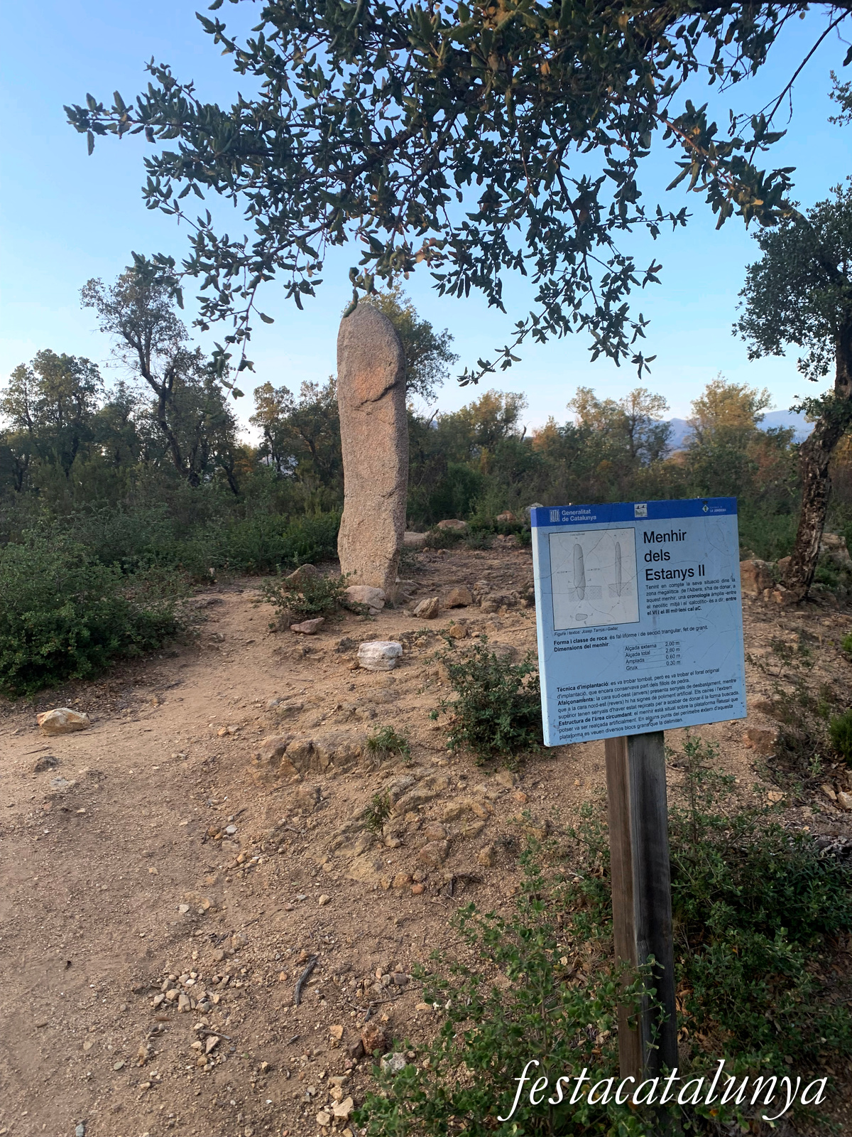 La Jonquera - Menhir dels Estanys II 