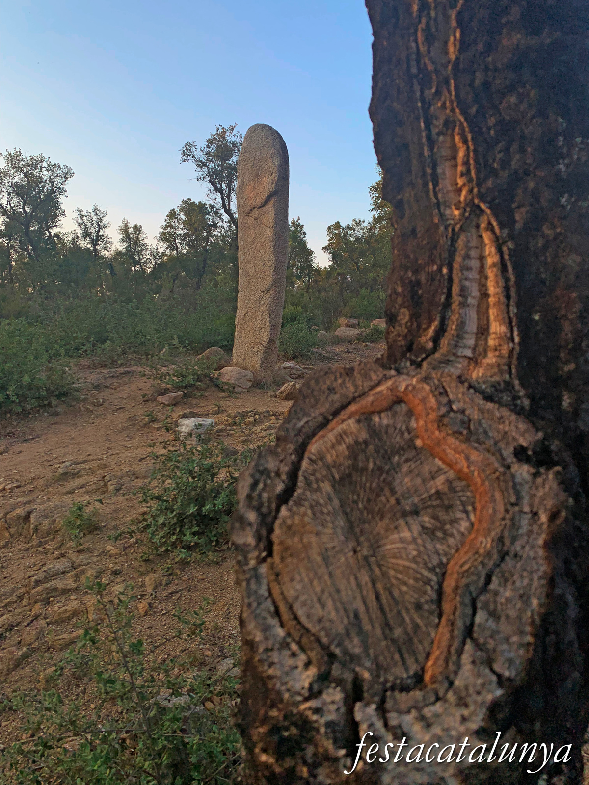 La Jonquera - Menhir dels Estanys II 