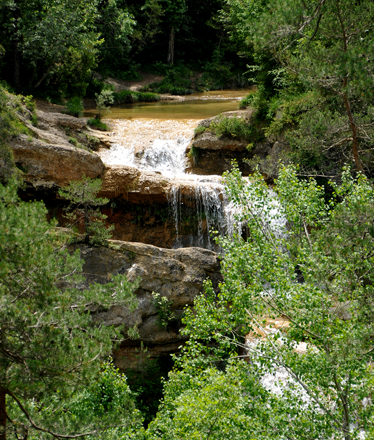 Gorgs del torrent de la Cabana de Campdevànol ***