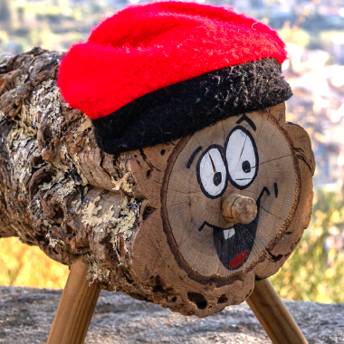 Fira del Tió d'Arbúcies