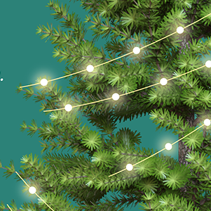 Encesa de l'Arbre de Nadal i Escudellada a Montseny