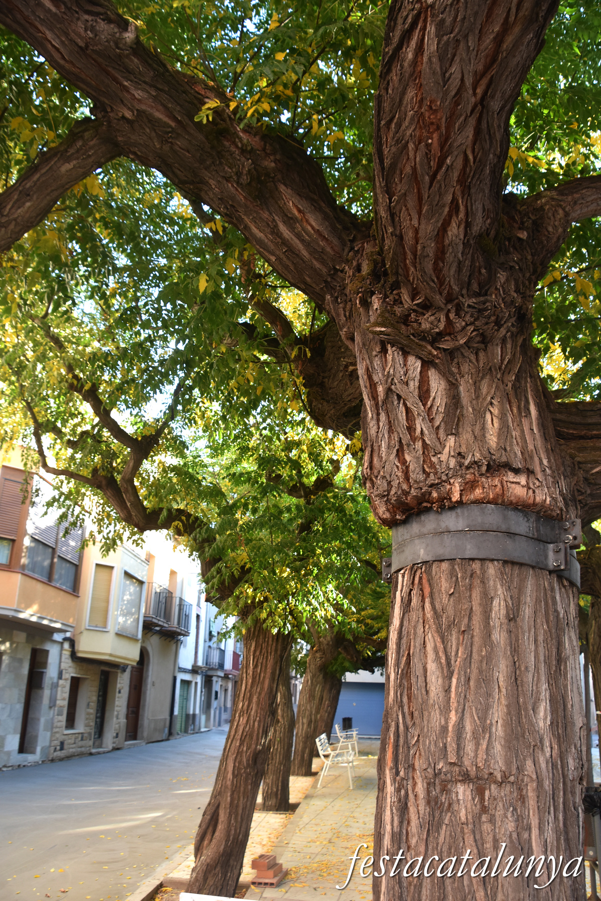Torregrossa - Nucli històric 