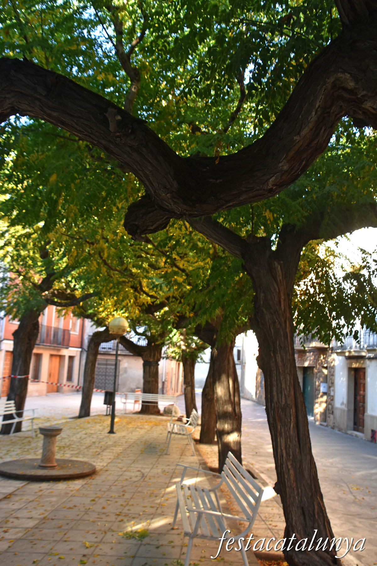 Torregrossa - Nucli històric 