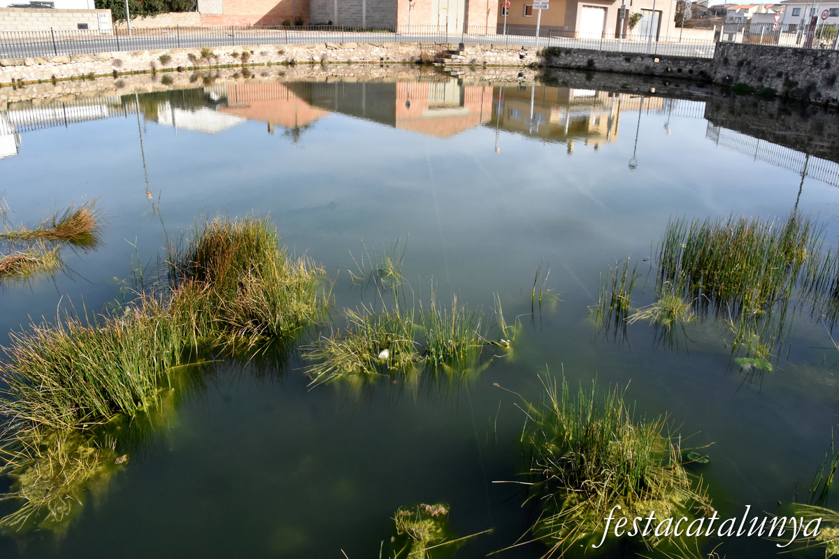 Vilalba dels Arcs - Bassa Bona