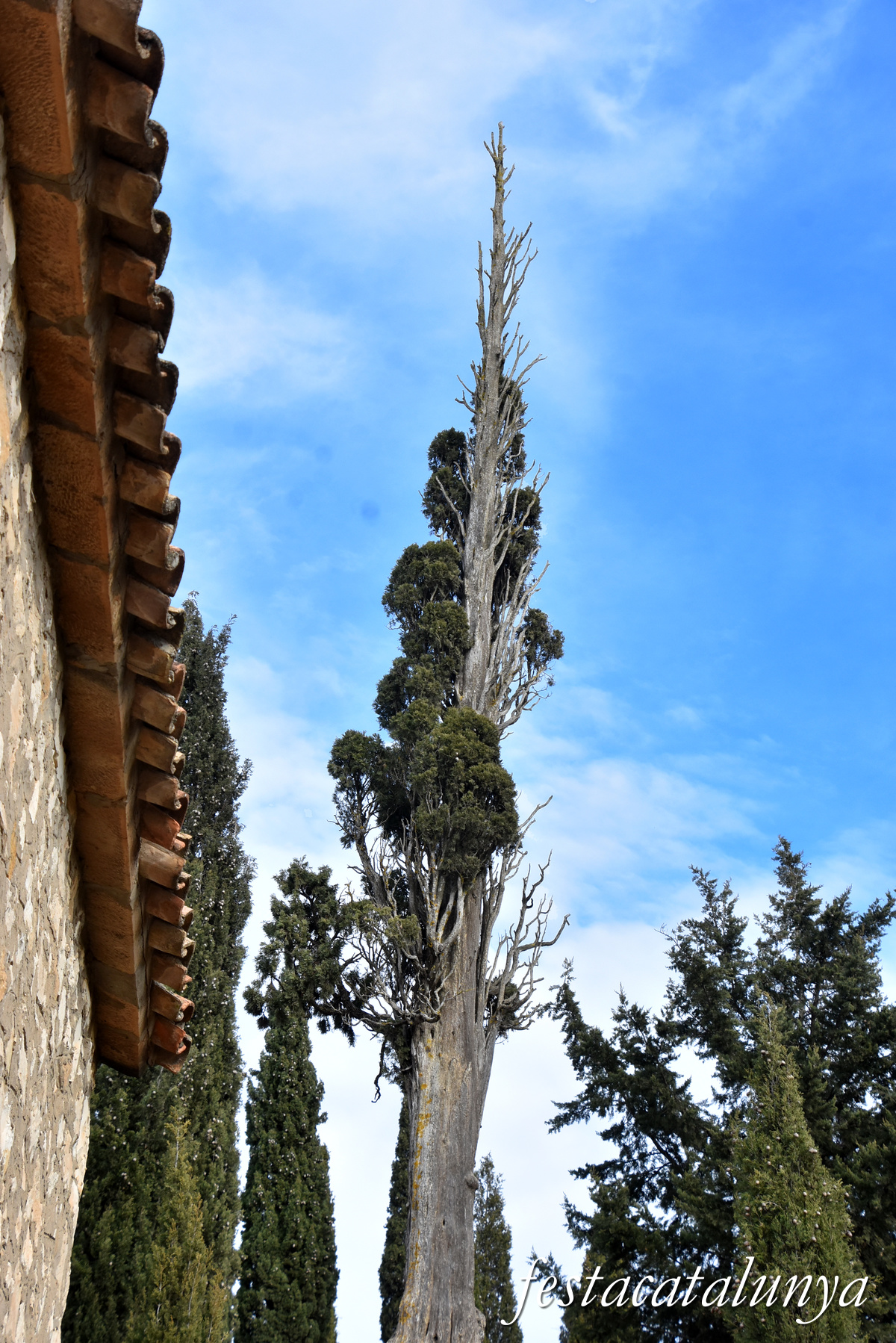 Vilalba dels Arcs - Capella de la Mare de Déu de Montserrat de Vilalba dels Arcs