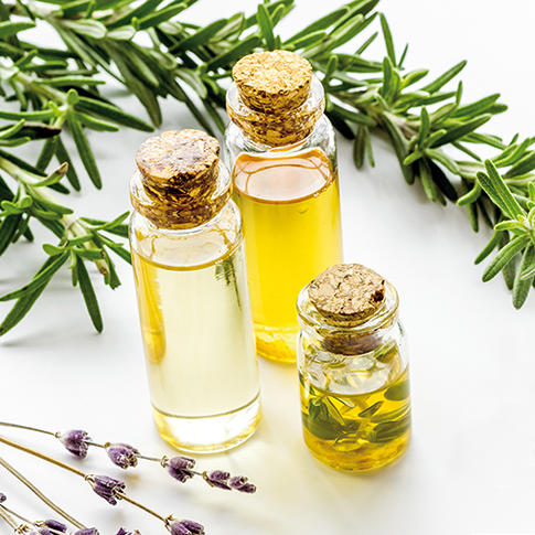 La Candelera a la Pobla de Claramunt